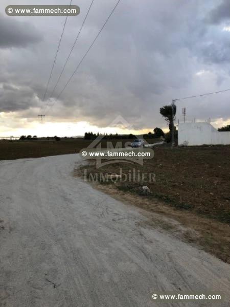 Terrain de 1 hectare à vendre 51355351