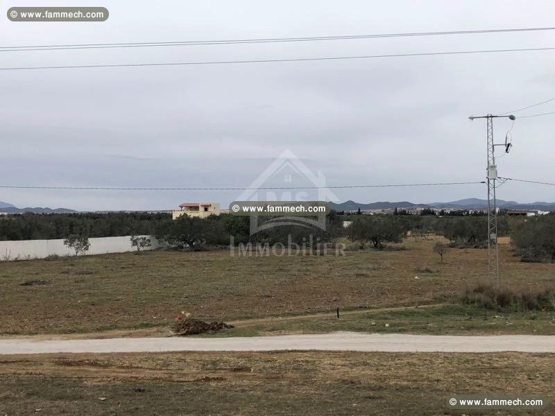 Terrain de 1 hectare à vendre 51355351
