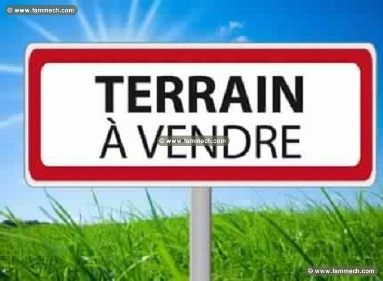 TERRAIN DE 100 HECTARES HAMMAM GHEZEZE 