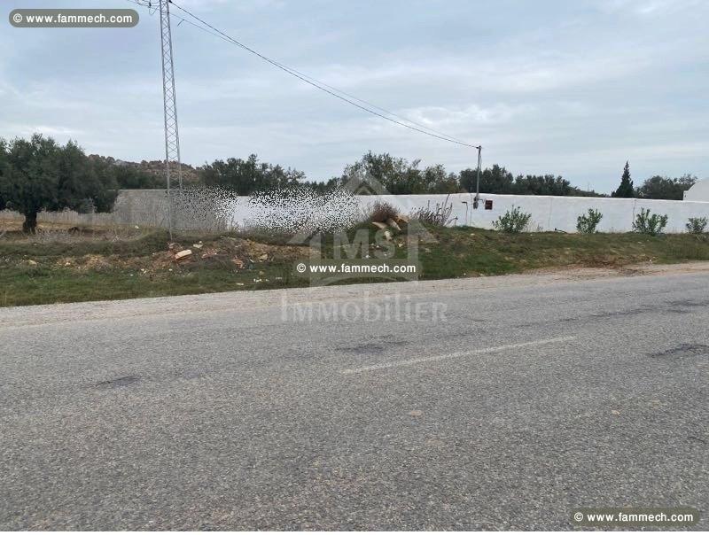 Terrain de 1000 m² à vendre à 160 MD 51355351