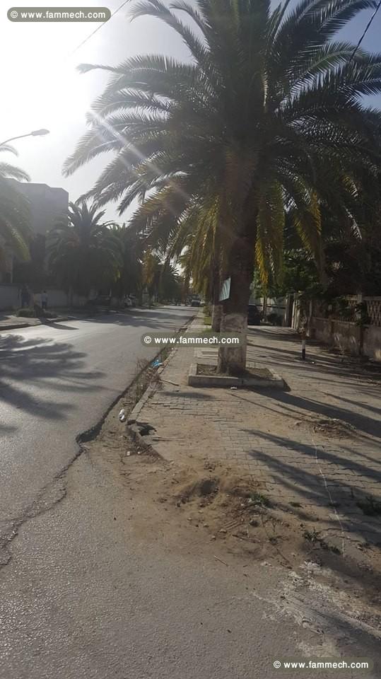 Terrain de 1292m2 à Ezzahra fait l'ongle