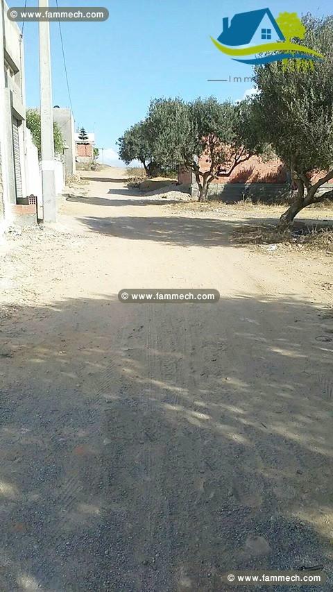 terrain de 132 m² à kélibia 