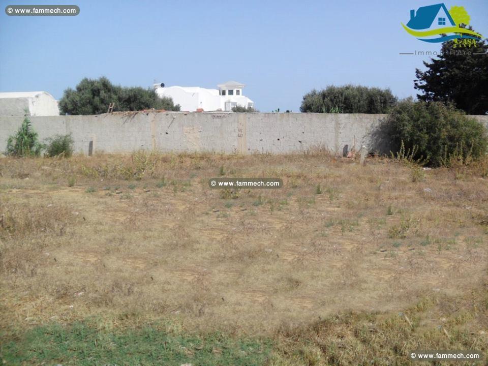 terrain de 150 m² à azmour 