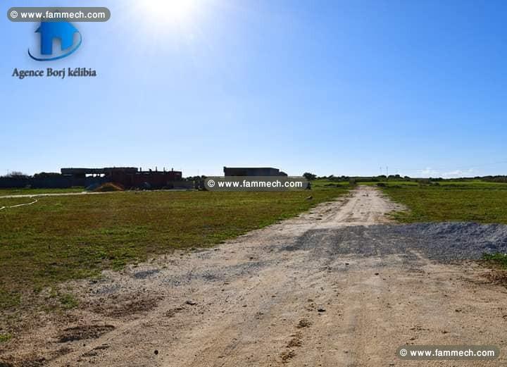 Terrain de 150 m² titré à dar allouche en face de 
