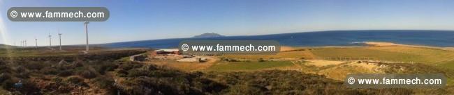 TERRAIN DE 15394 m2 El haouaria