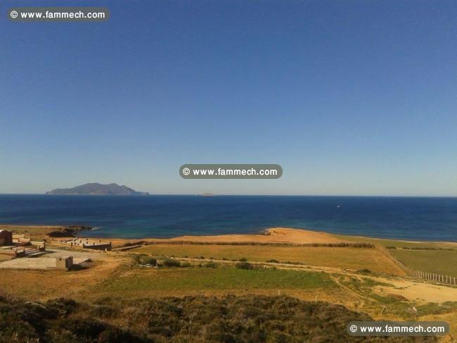 Terrain de 15394 m2  Elhaouaria