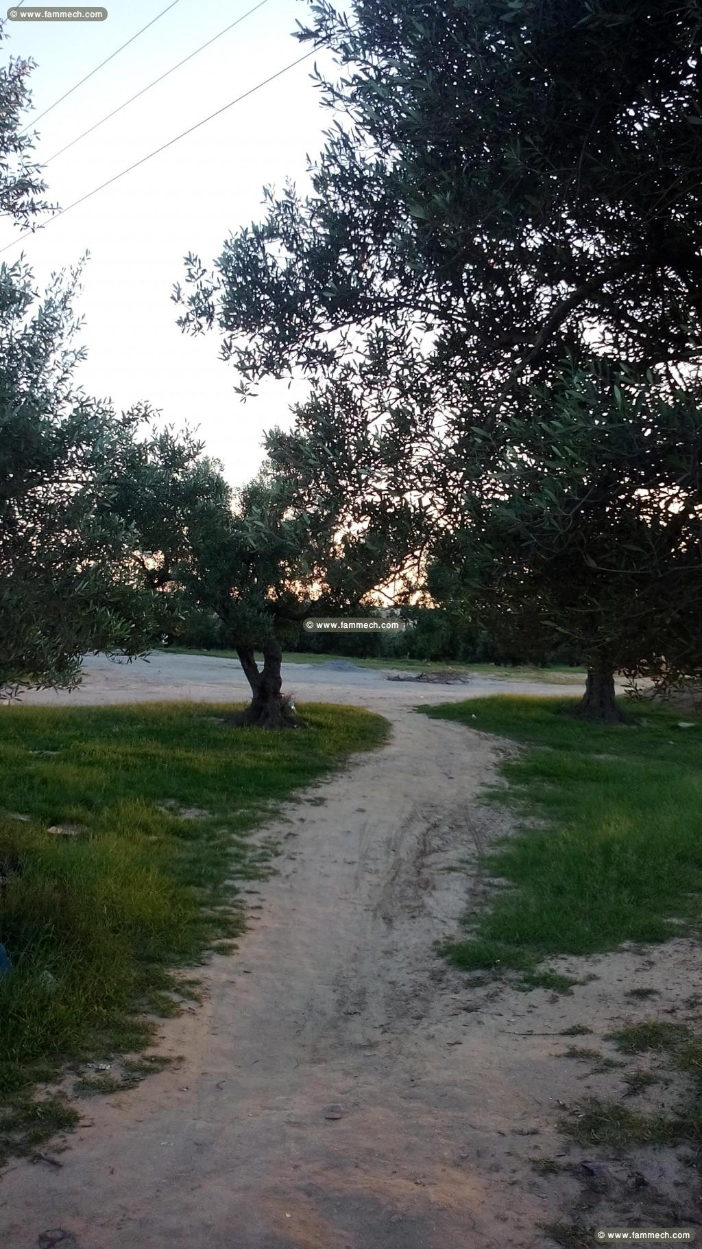 Terrain de 196 m2 a 36 000 dt