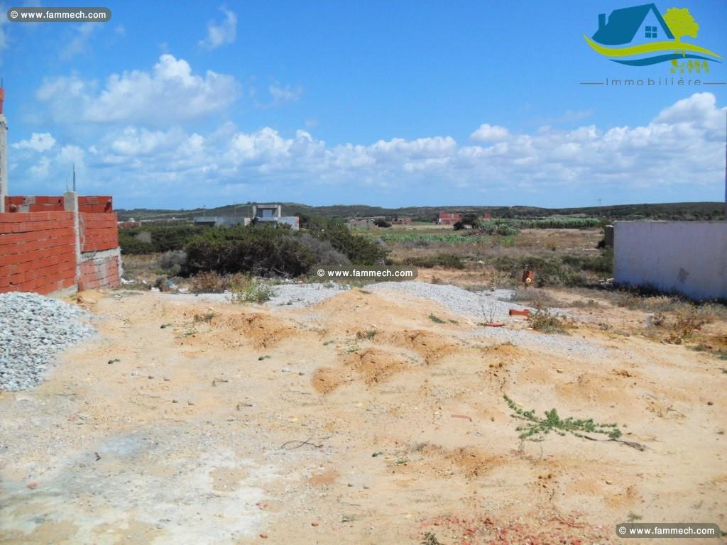 terrain de 200 m² à haouaria 