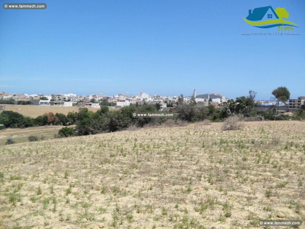 terrain de 212 m² à kélibia 