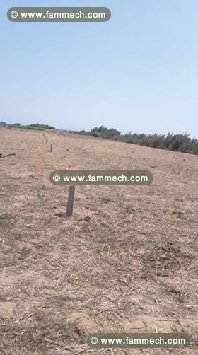 terrain de 221 m² à kerkouane 