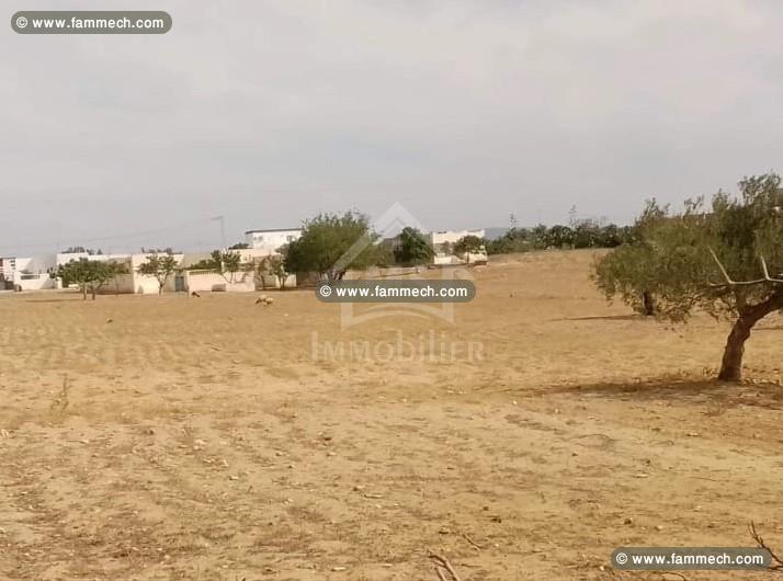 terrain de 2750 m² à vendre à 110 MD 51355351