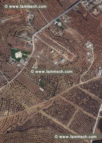 Terrain de 3 hectares à vendre à Sanheja
