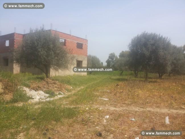 Terrain de 3200 m²