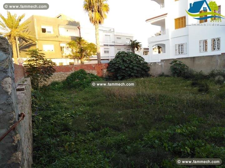 terrain de 339 m² à centre ville kélibia 