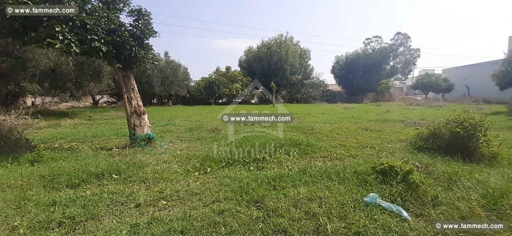 Terrain de 350 m² à vendre à 210 MD 51355351