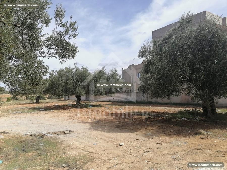 Terrain de 360 m² à Manaret El Hammamet à vendre 
