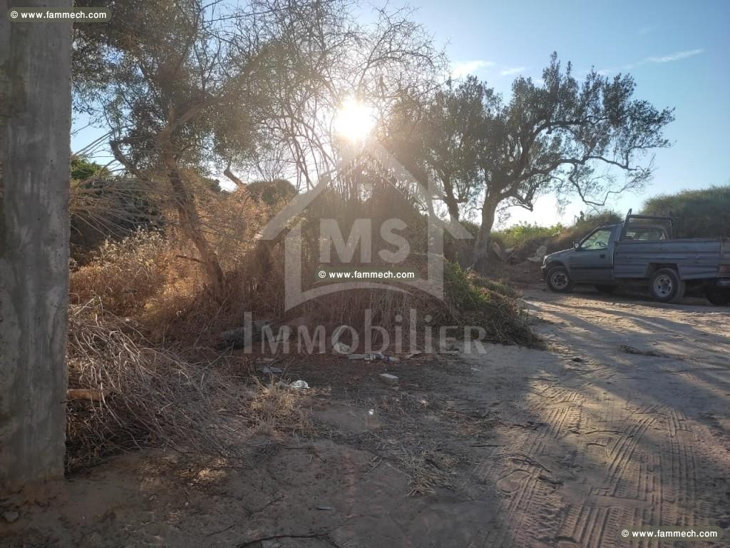 Terrain de 480 m² à vendre à Hammamet zone théâtre