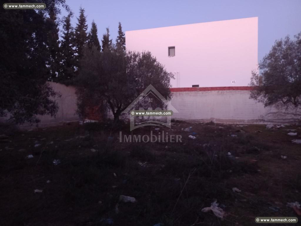 Terrain de 500 m² à vendre à Sidi Hammed à 150 MD 