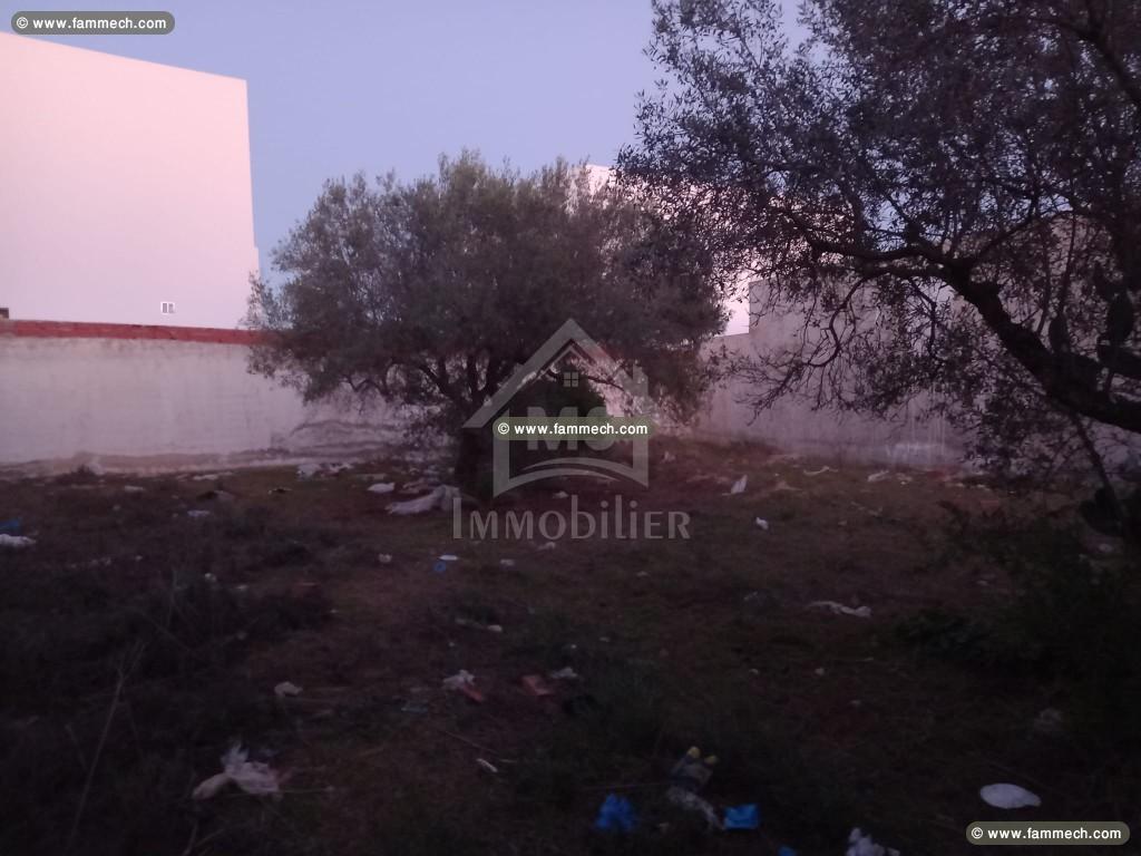 Terrain de 500 m² à vendre à Sidi Hammed à 150 MD 