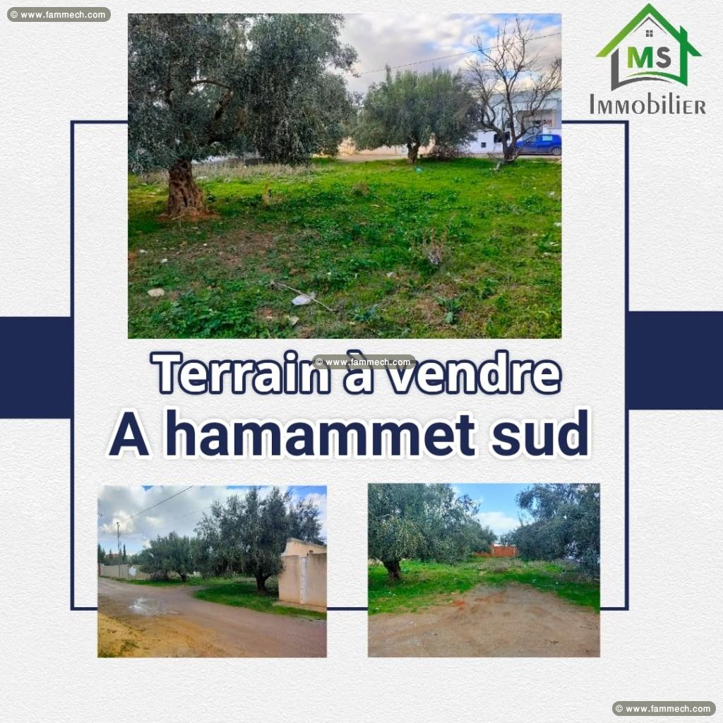 Terrain de 500 m² à vendre Hammamet Sud à 135 MD 