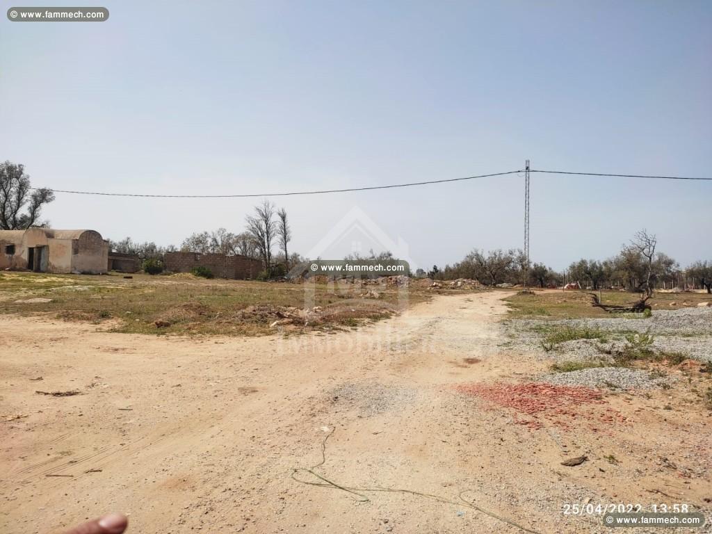 Terrain de 505 m² à vendre à 300 MD à Hammamet Sud