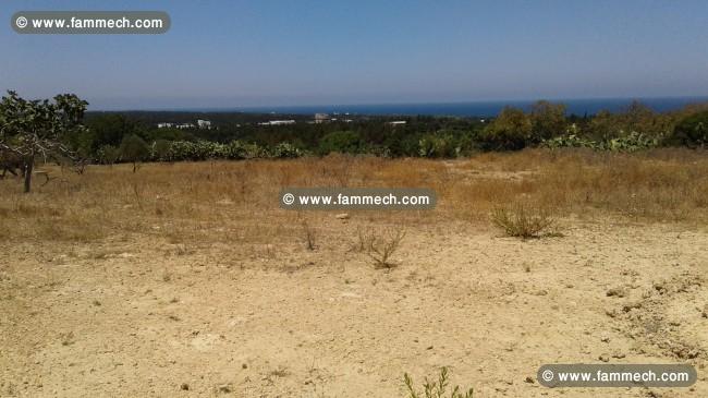TERRAIN DE 5500 m2