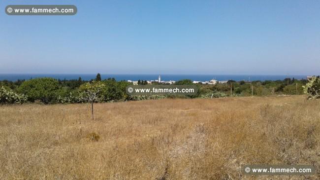 TERRAIN DE 5500 m2