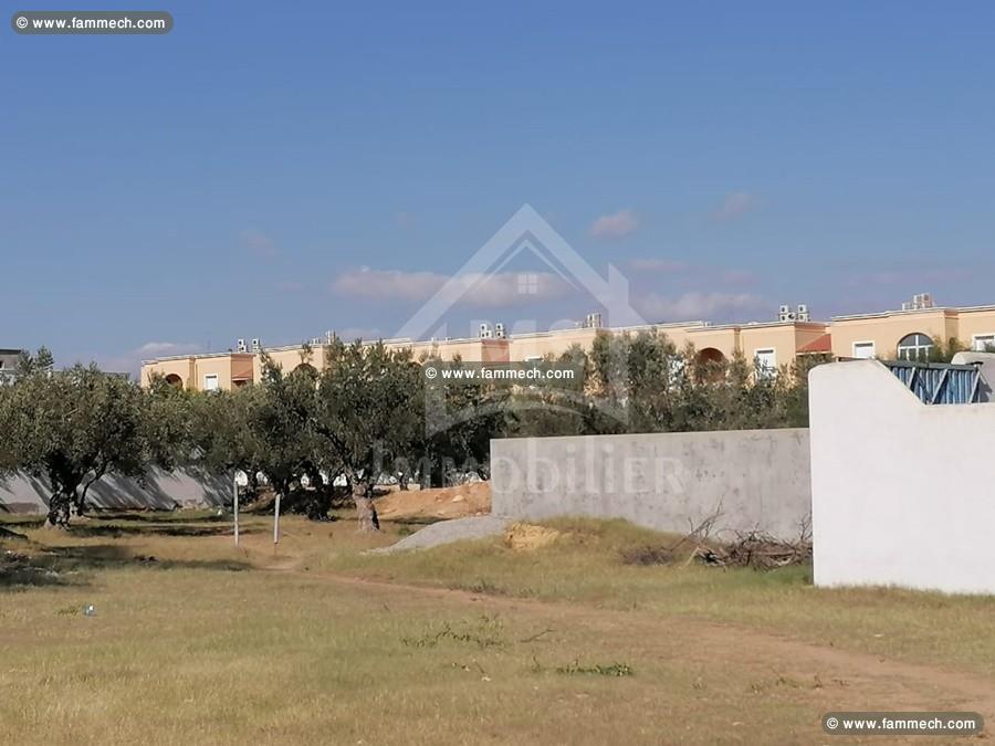 Terrain de 555 m² à vendre à Hammamet Sud 51355351