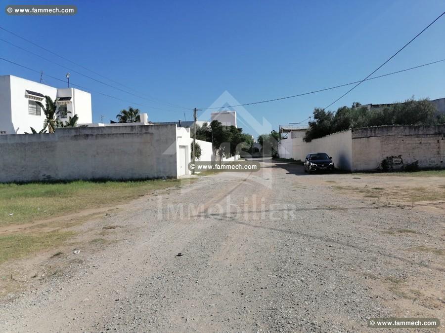 Terrain de 555 m² à vendre à Hammamet Sud à 555 MD