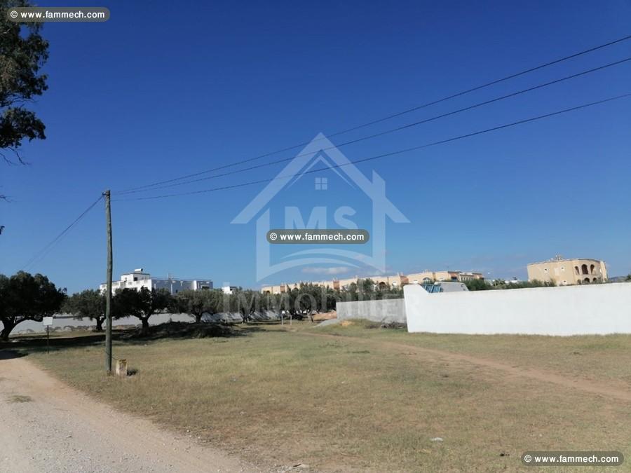 Terrain de 555 m² à vendre à Hammamet Sud à 555 MD