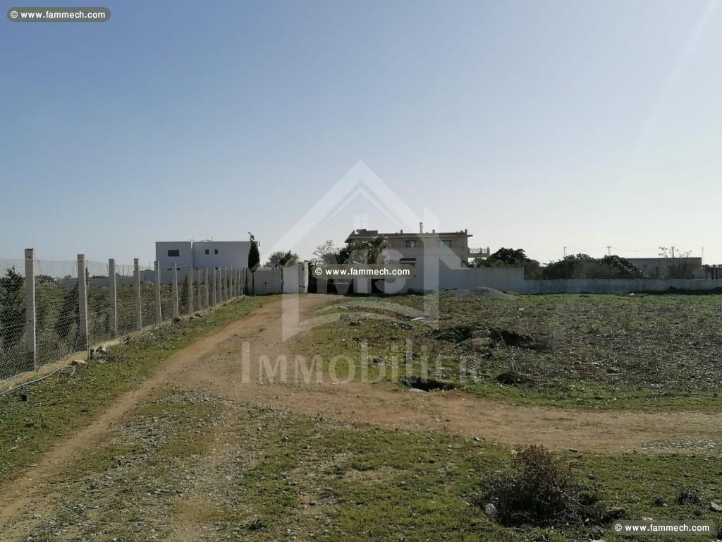 Terrain de 557 m² à vendre à 90 MD à Hammamet Sud 