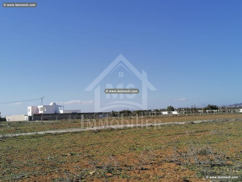 Terrain de 557 m² à vendre à 90 MD à Hammamet Sud 