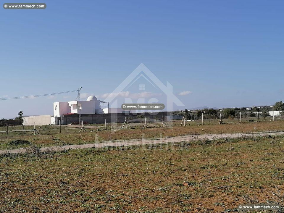 Terrain de 557 m² à vendre à 90 MD 51355351