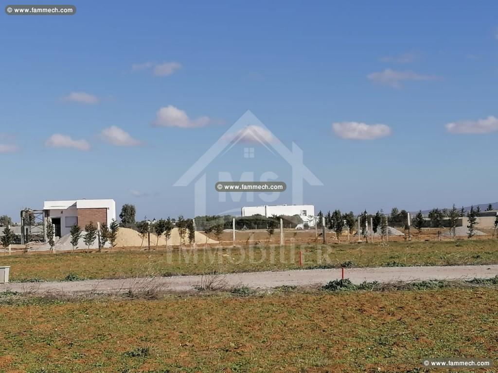Terrain de 557 m² à vendre à 90 MD 51355351