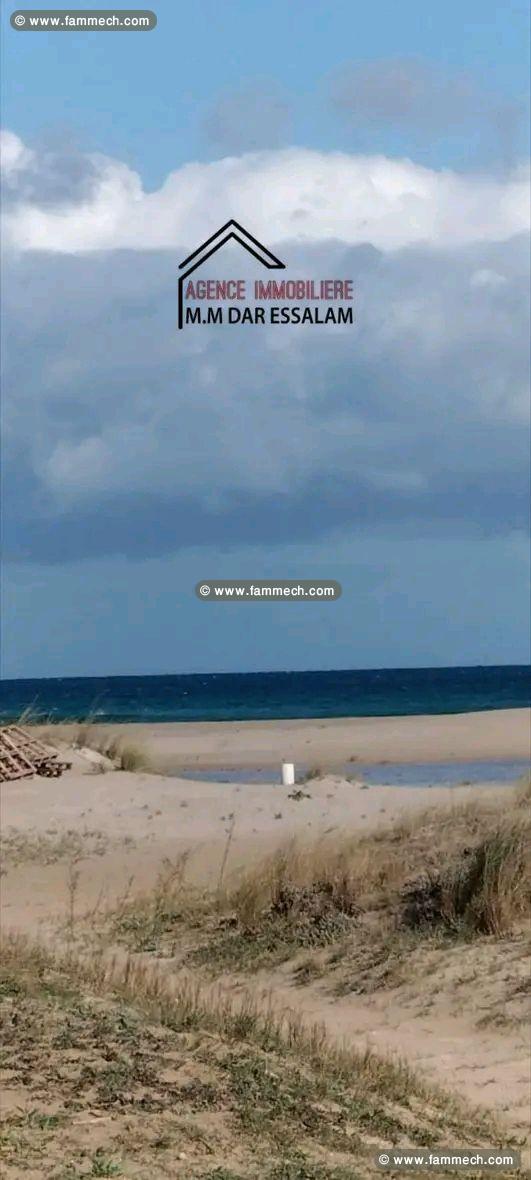 terrain deuxième position de la mer