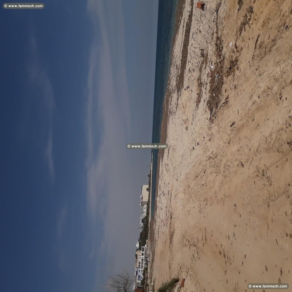 Terrain directement sur la plage