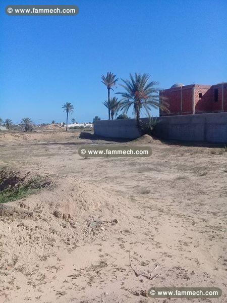 TERRAIN DJERBA 