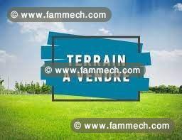 Terrain Douikhla T004