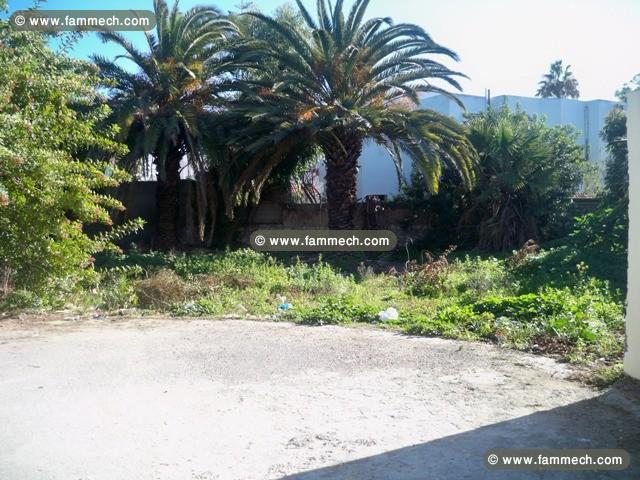 Terrain Einstein T580 La Soukra 