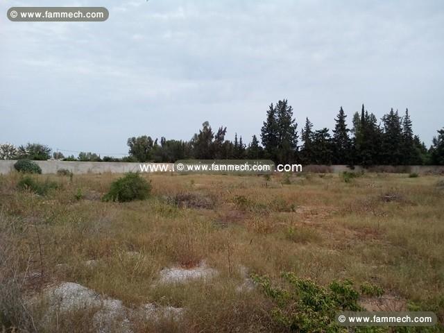 Terrain Emna T668 Soukra