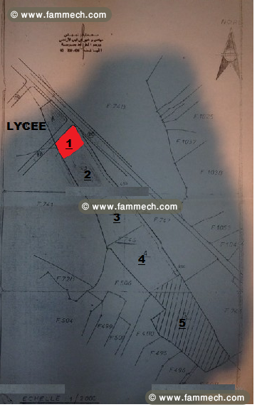 Terrain entre cite riadh 5 et kalaa Essghira