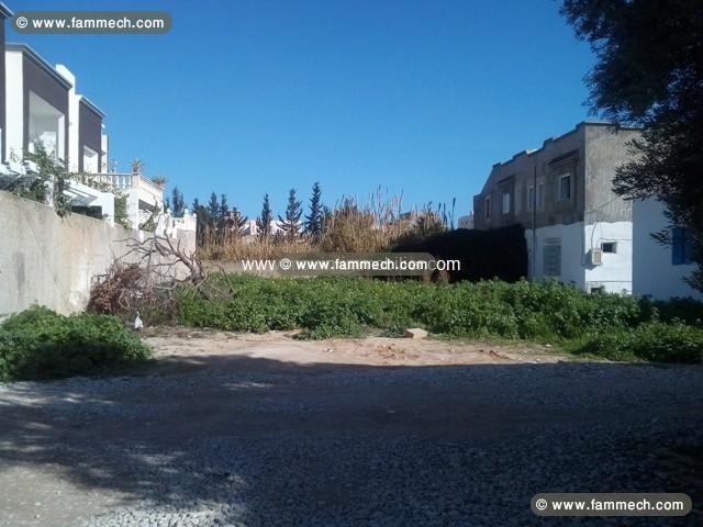 Terrain Fattouma T585