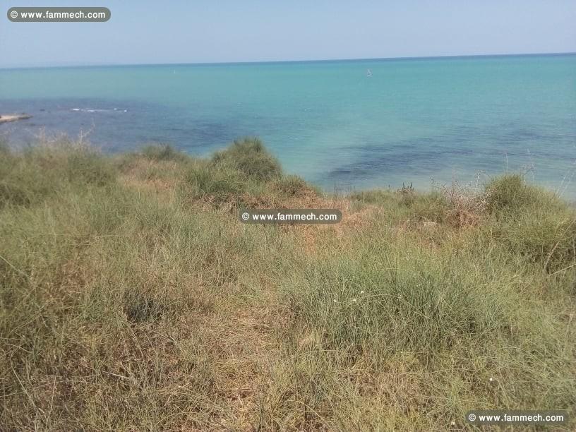 Terrain Gammarth supérieur