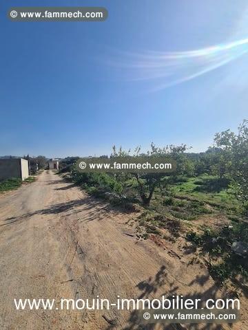 TERRAIN GINA AV Hammamet Birbouregba T1085