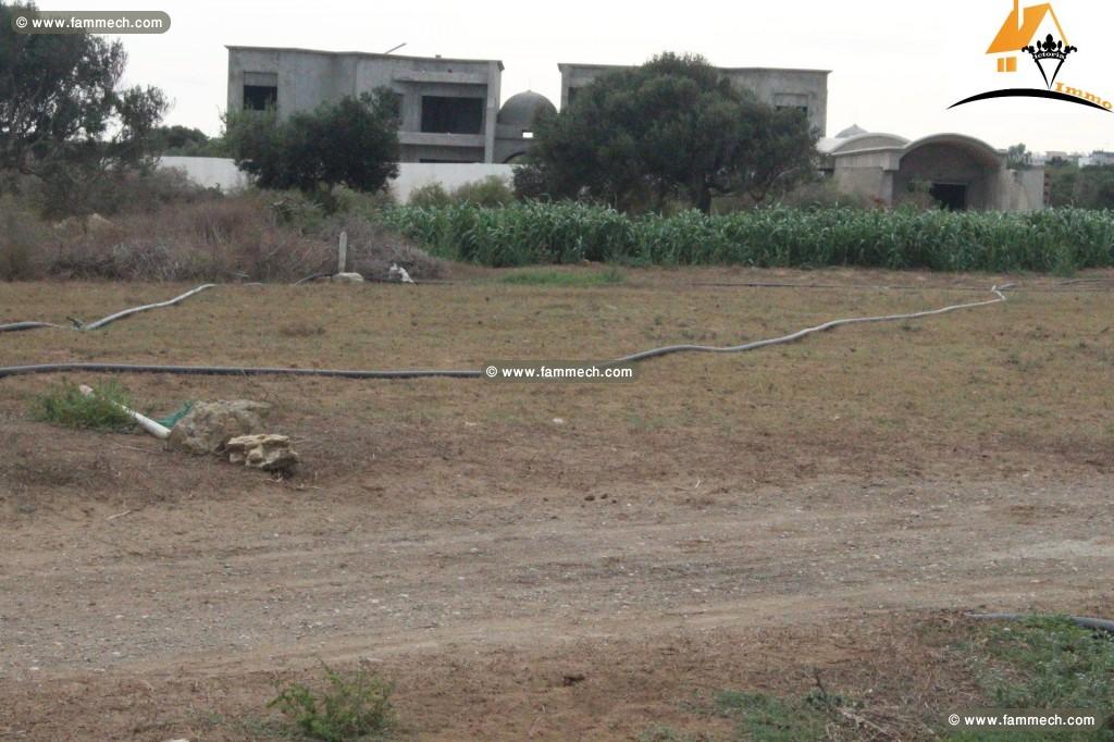 Terrain hamem jabli _zahra