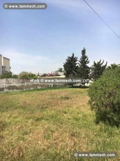 Terrain Ifriqyia 1 ref T346 La Soukra