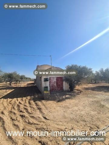 TERRAIN IRAM 1 El Bessbassia Hammamet Sud T1084