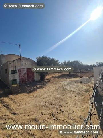 TERRAIN IRAM 1 El Bessbassia Hammamet Sud T1084