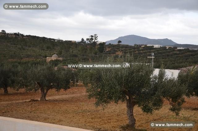 Terrain Jihen ref T334 Bir Bouregba 