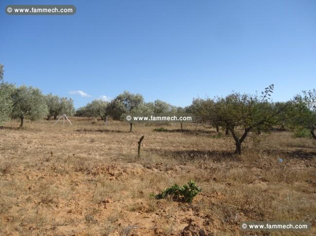TERRAIN KHEZAMA EST - 455 M2 - EXCEPTIONNEL - 900 